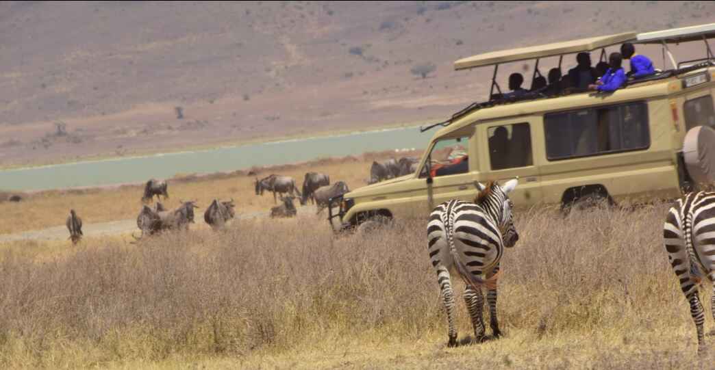 Ngorongoro Tour